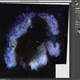 Illustration for article titled Welcome to Microscope Monday - How its done